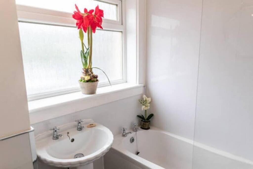 Cosy 1 Bed With Parking In City Centre Apartman Glasgow Kültér fotó
